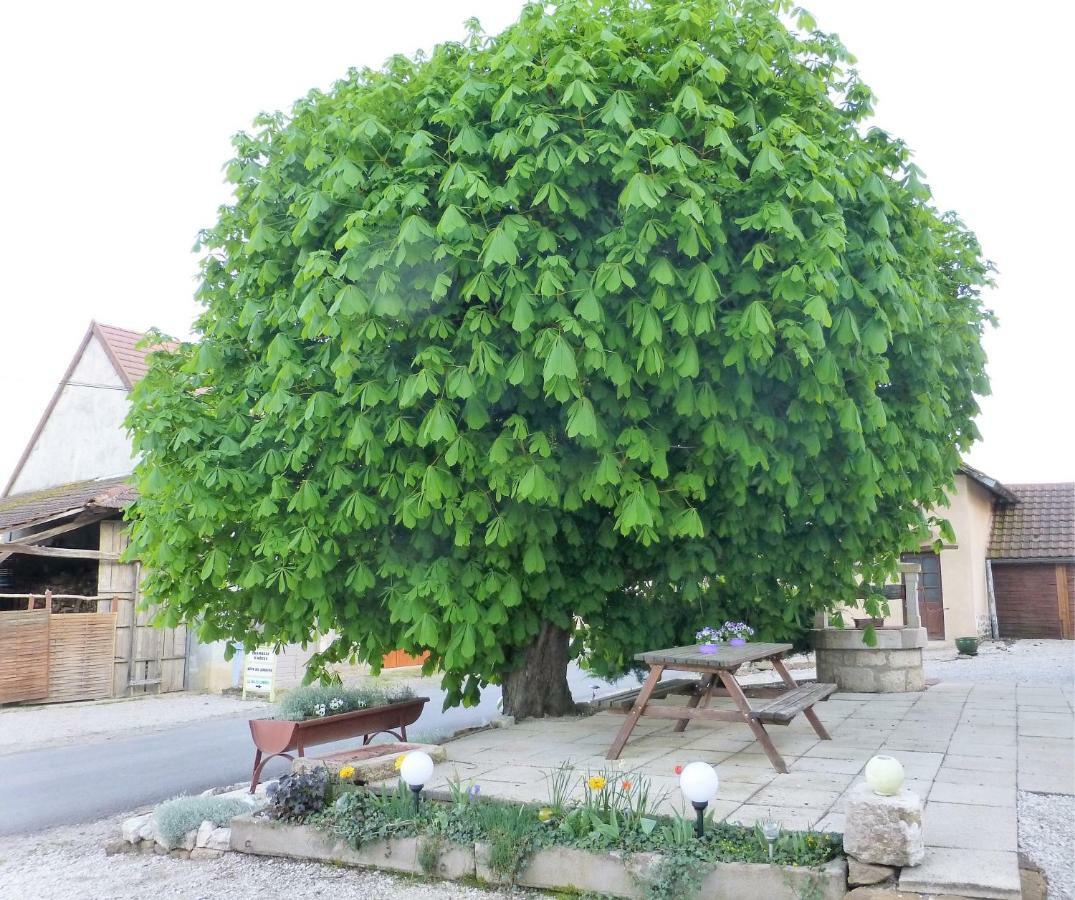 Pensión D'hote Le Marronnier Champrougier